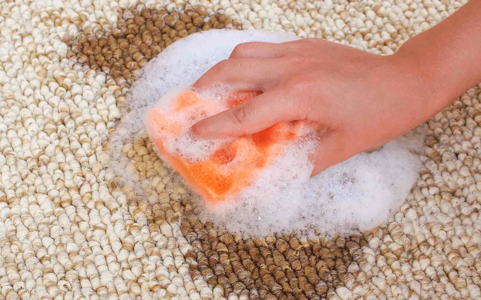 Make Up aus Teppich entfernen - Mann wischt mit Schwamm Flecken aus Teppich