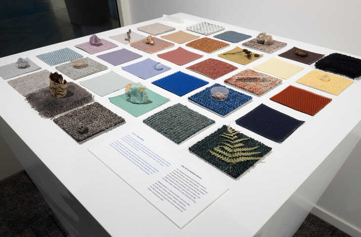 True Colours Die Fähigkeiten und Einflüsse von Farben in der